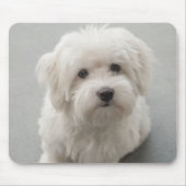 Maisie Coton de Tulear Puppy Muismat (Voorkant)