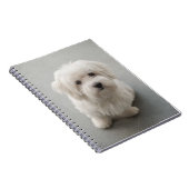 Maisie Coton de Tulear Puppy Notitieboek (Rechterzijde)