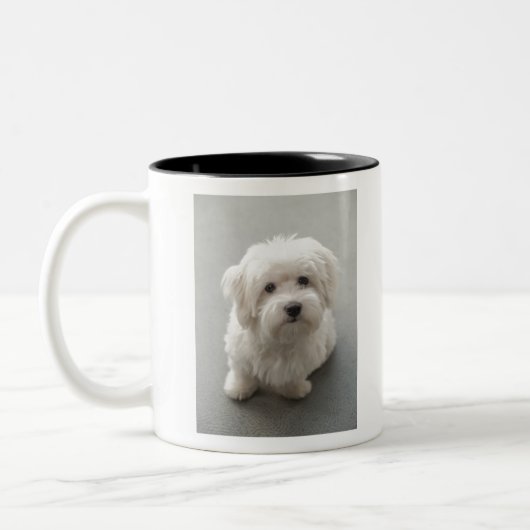 Maisie Coton de Tulear Puppy Tweekleurige Koffiemok (Links)