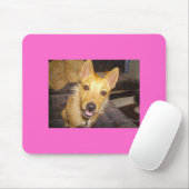 'Maisie' De Jack Russell Muismat (Met muis)