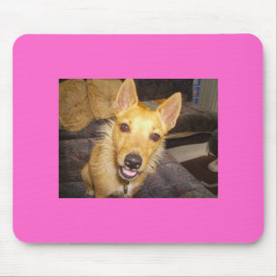 'Maisie' De Jack Russell Muismat