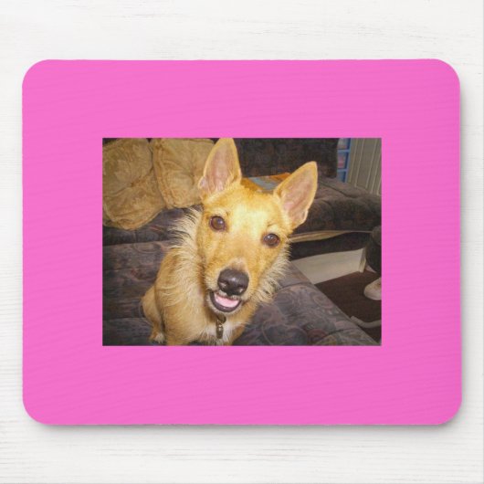 'Maisie' De Jack Russell Muismat (Voorkant)