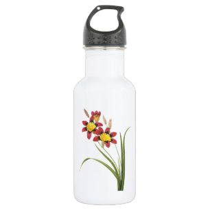 maïskolly(Ixia tricolor) van Redouté Waterfles