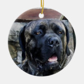 maïskorrel keramisch ornament (Voorkant)