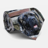 maïskorrel stropdas (Opgerold)