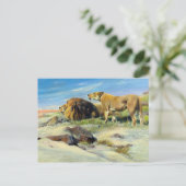 Maisleeuwen  Natuur schilderen Briefkaart (Staand voorkant)