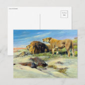 Maisleeuwen  Natuur schilderen Briefkaart (Voorkant / Achterkant)