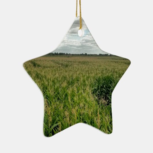 Maismaze Keramisch Ornament (Rechts)