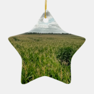 Maismaze Keramisch Ornament