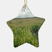 Maismaze Keramisch Ornament (Links)