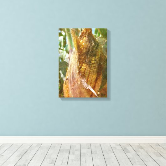 Maisoor bijna klaar om te oogsten canvas afdruk (Insitu (Houten vloer))