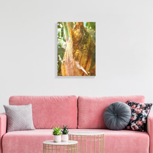 Maisoor bijna klaar om te oogsten canvas afdruk (Insitu (Woonkamer))