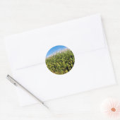 maïsveld en lucht ronde sticker (Envelop)