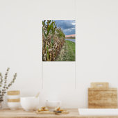 Maisveld Foto Poster  (Keuken)