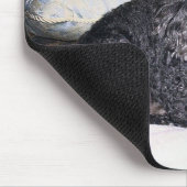 Maitai The Poodle, Muismat. Muismat (Hoek)