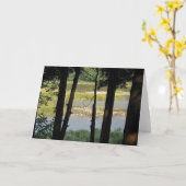 Maitland River Uitzicht Kaart (Gele Bloem)