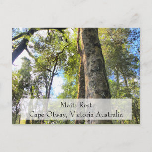 Maits Rest Rainforest Walk Cape Otway Victoria AU Briefkaart