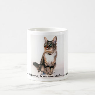 Maiw Koffiemok