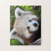 Maiya The Red Panda Legpuzzel (Verticaal)