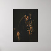 Majestätischer Fuchsbrauner Hengst im Dunkeln Canvas Afdruk (Voorkant)