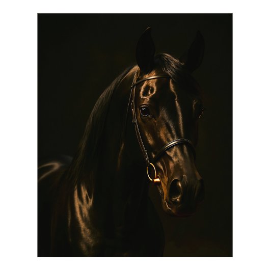 Majestätischer Fuchsbrauner Hengst im Dunkeln Foto Afdruk (Voorkant)