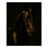 Majestätischer Fuchsbrauner Hengst im Dunkeln Perfect Poster (Voorkant)