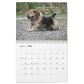 Majesteit-2011 Kalender (Mar 2026)