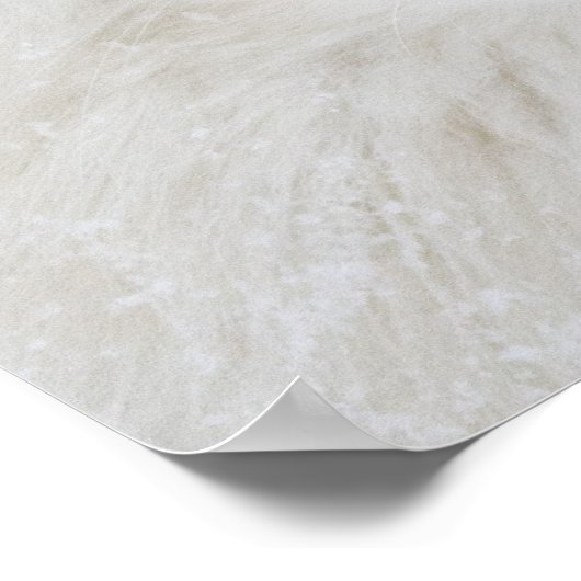 Majesteit Poster (Hoek)