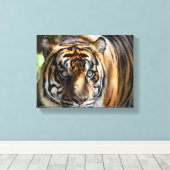 majesteit tijgergezicht canvas afdruk (Insitu (Houten vloer))