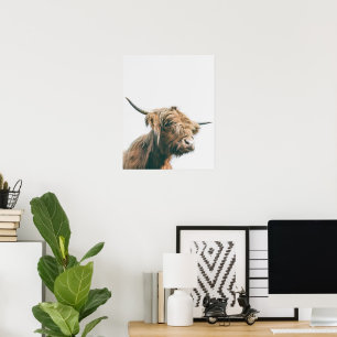Majesteits hoogland koe poster