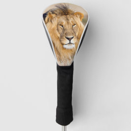 Majesteuropese leeuw foto wild dier golfheadcover