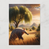 Majestic Aardvark in zonovergoten veld Briefkaart (Voorkant)