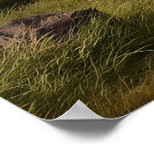 Majestic Aardvark Roaming groen landschap Poster (Hoek)