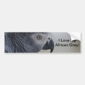 Majestic African Gray Parrot Bumpersticker (Voorkant)