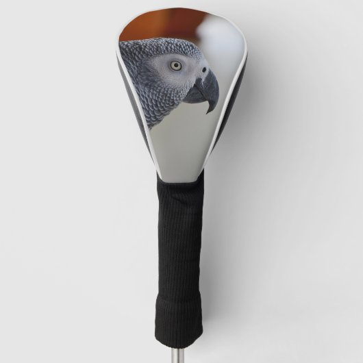 Majestic African Gray Parrot Golfheadcover (Voorkant)