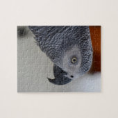 Majestic African Gray Parrot Legpuzzel (Horizontaal)
