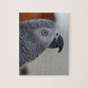 Majestic African Gray Parrot Legpuzzel
