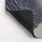 Majestic African Gray Parrot Muismat (Hoek)