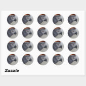Majestic African Gray Parrot Ronde Sticker (Vel)