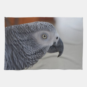 Majestic African Gray Parrot Theedoek