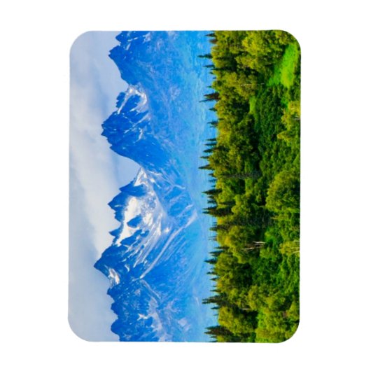 Majestic Alaska Mountains Magneet (Verticaal)