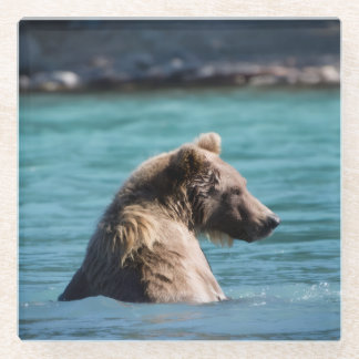 Majestic Alaskan Brown Bear Glazen Onderzetter
