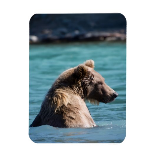 Majestic Alaskan Brown Bear Magneet (Verticaal)