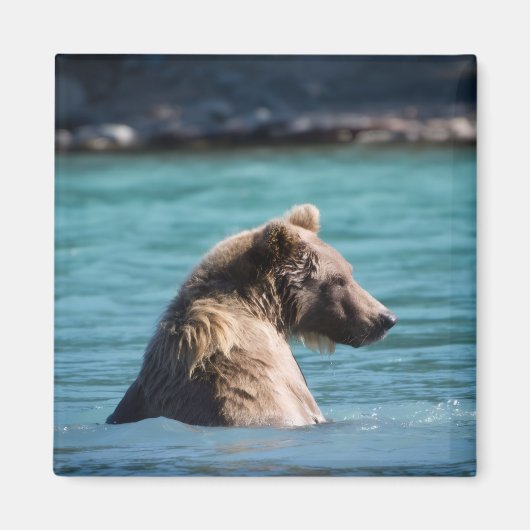 Majestic Alaskan Brown Bear Magneet (Voorkant)