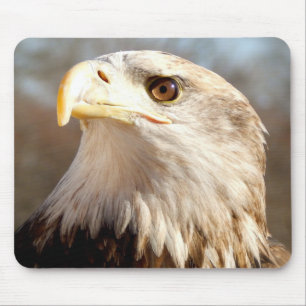 Majestic American Eagle Muismat