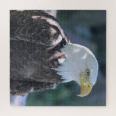 Majestic Amerikaanse kale arend kleur foto Legpuzzel (Horizontaal)