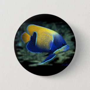 Majestic Angel Fish Ronde Button 5,7 Cm