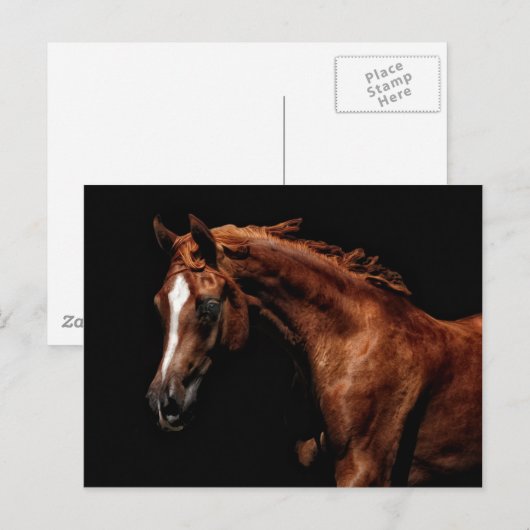 Majestic Arabisch Briefkaart (Voorkant / Achterkant)