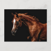 Majestic Arabisch Briefkaart (Voorkant)