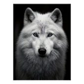 Majestic Arctic Wolf Portrait in High Contrast Bla Perfect Poster (Voorkant)